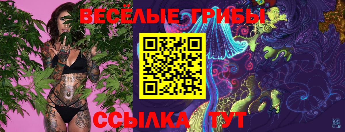 Псилоцибиновые грибы GOLDEN TEACHER  Галлюциногенные грибы мухоморы  Вход с VPN  Радужный 